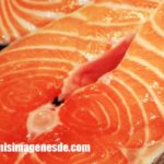 Imágenes de color salmón