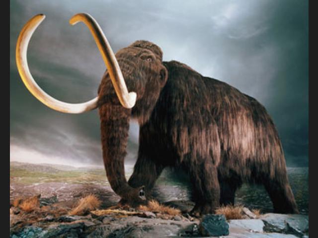 animales prehistoricos