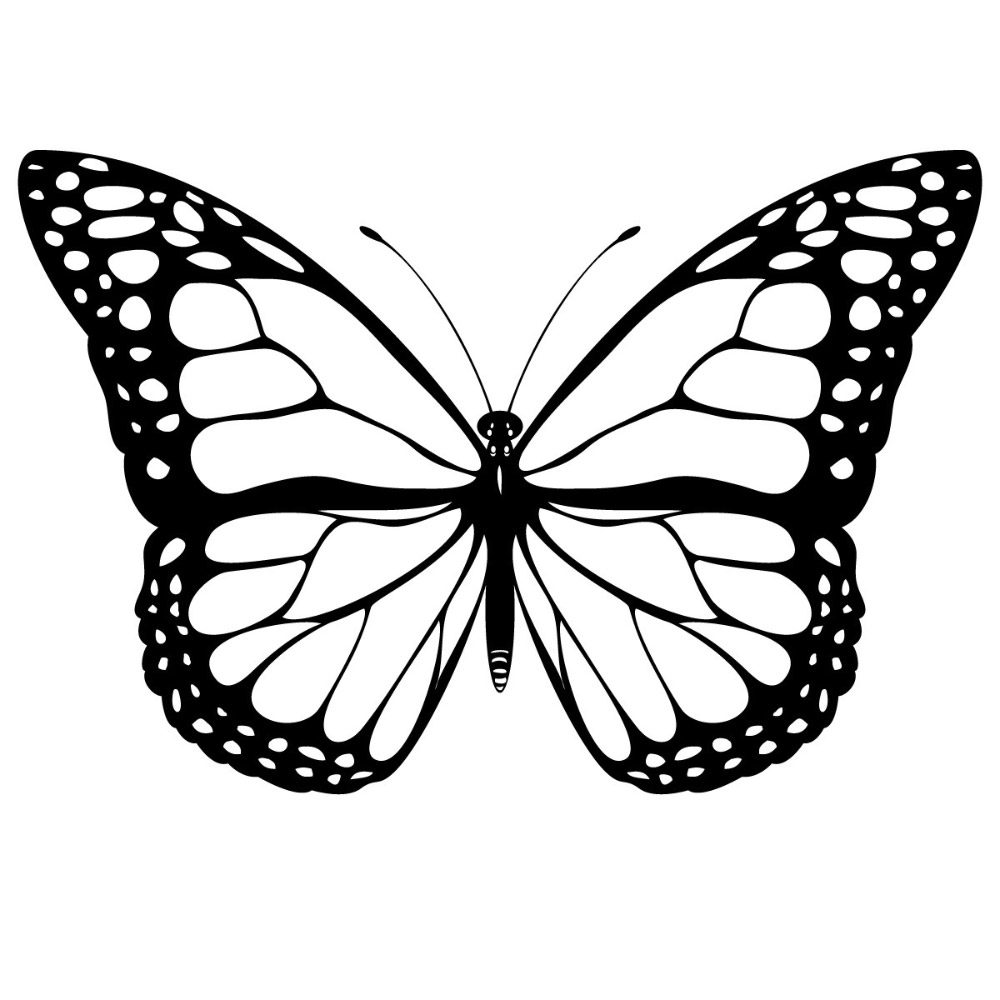 dibujos de mariposas