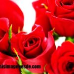 Imágenes de ramos de rosas rojas