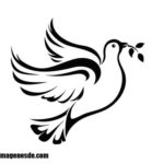 Imágenes de paloma de la paz